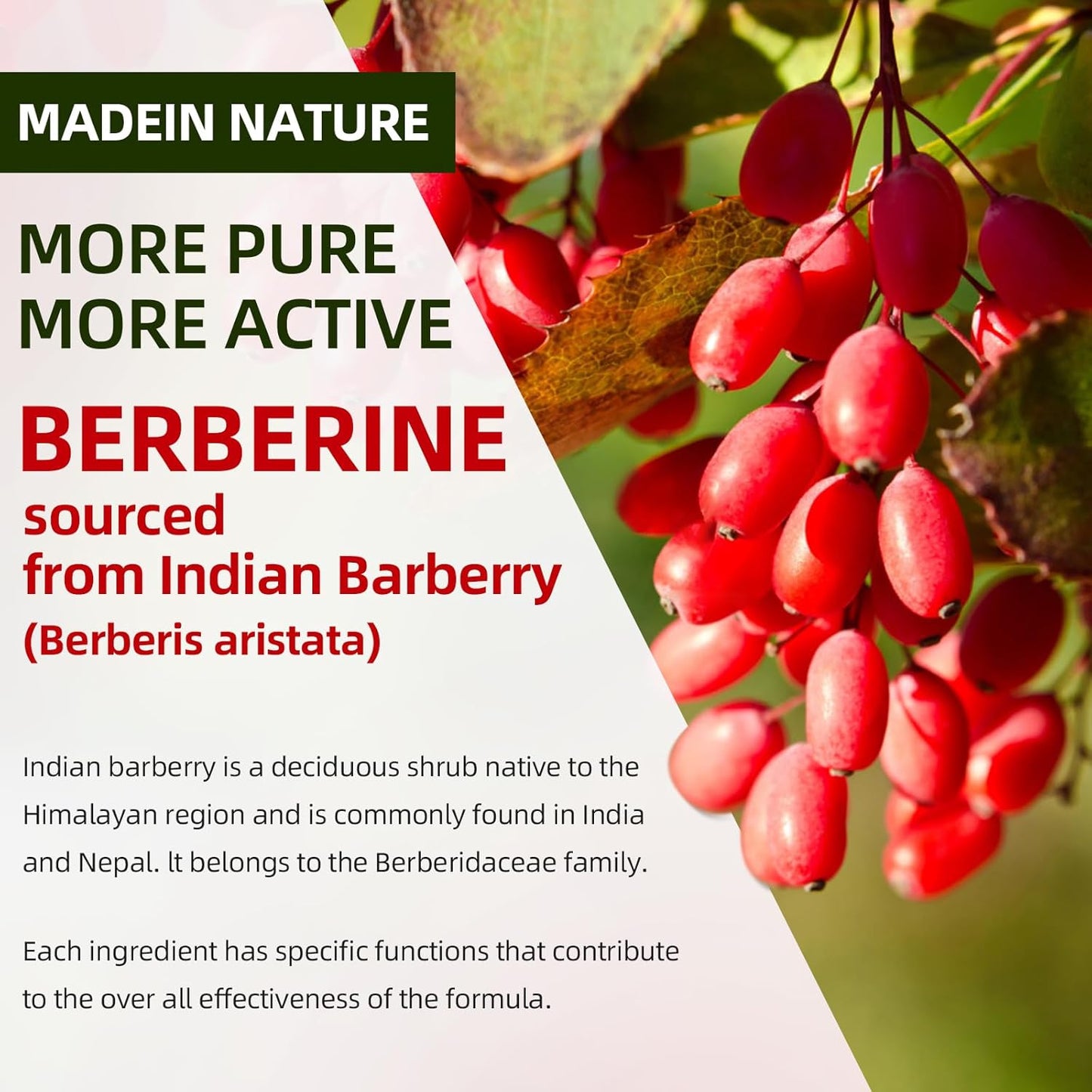 Organic Berberine Gummies with Ceylon Cinnamon - Immune & Metabolism Support - 1500mg High Potency Berberine HCL - Sugar Free - Strawberry Flavor - 120 Count