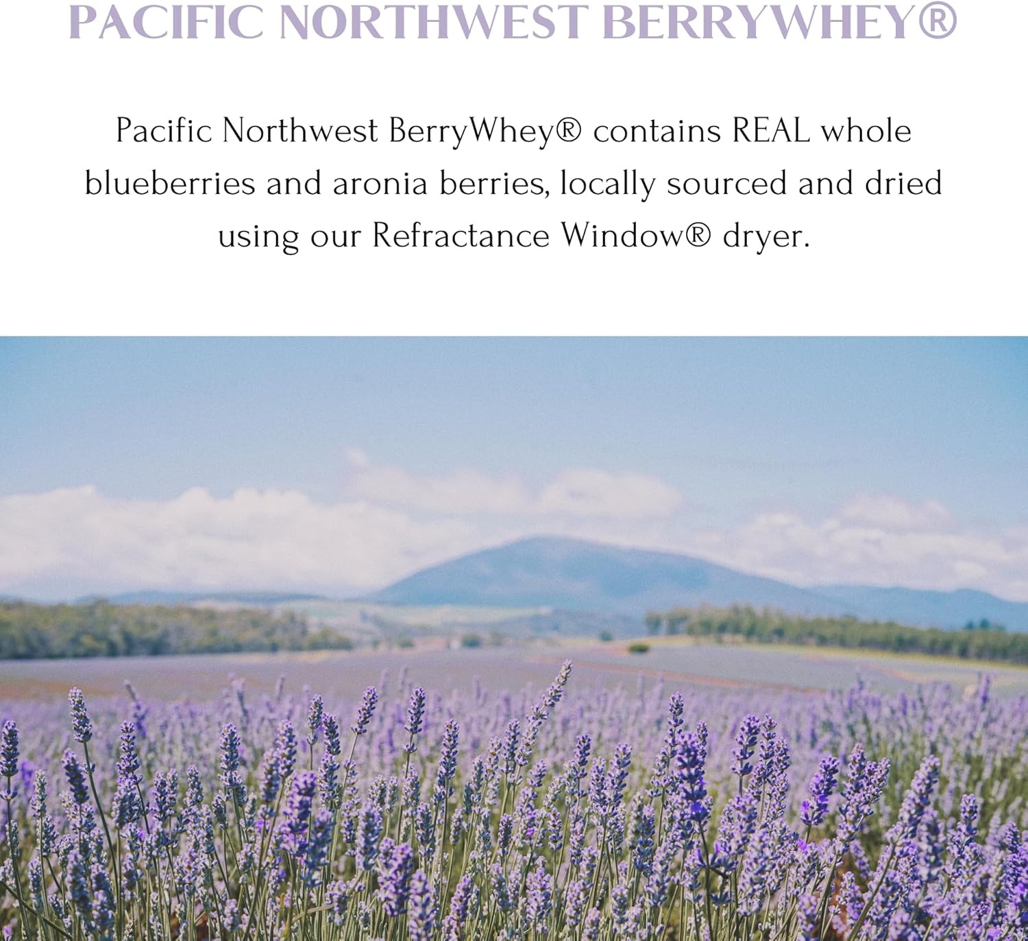 Organic BerryWhey Meal Replacement Shake with Antioxidants - 10 Servings (14.1 oz) - Locally Grown Blueberries, Aronia Berry, Non-GMO Goat Whey Protein