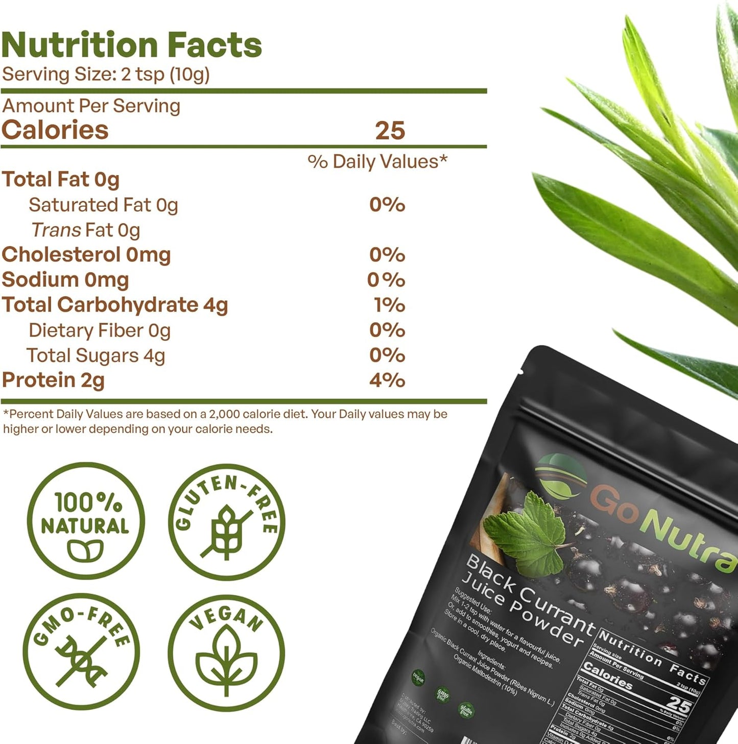 Organic Black Currant Powder 1lb - High Antioxidant Ribes Nigrum Supplement with Anthocyanin