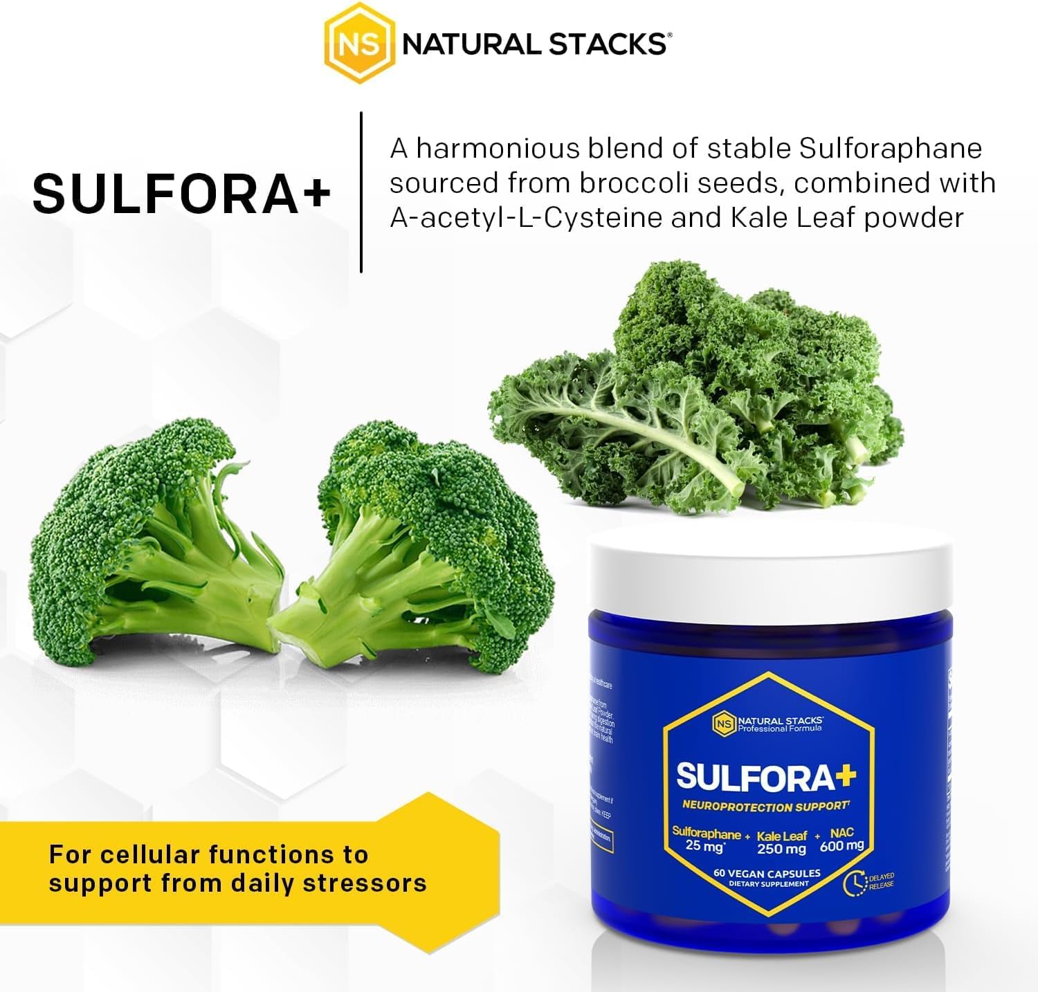 Organic Broccoli Sprout & Kale NAC Supplement for Brain Health - Antioxidant Rich with Sulforaphane - 60 Capsules