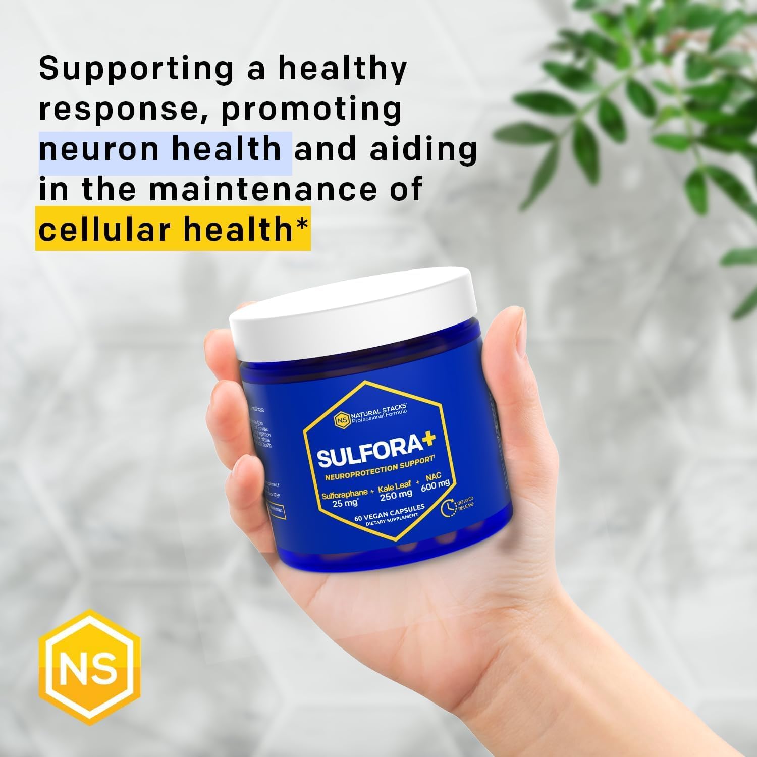 Organic Broccoli Sprout & Kale NAC Supplement for Brain Health - Antioxidant Rich with Sulforaphane - 60 Capsules