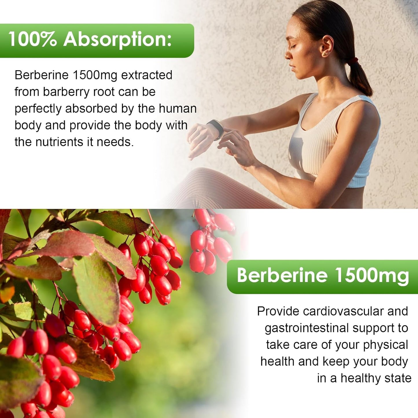 Organic Bunkka Berberine Liquid Drops with Ceylon Cinnamon & Bitter Melon - 1500mg Supplement for Immune & GI Support - Vegan & Sugar-Free - 4 FL Oz