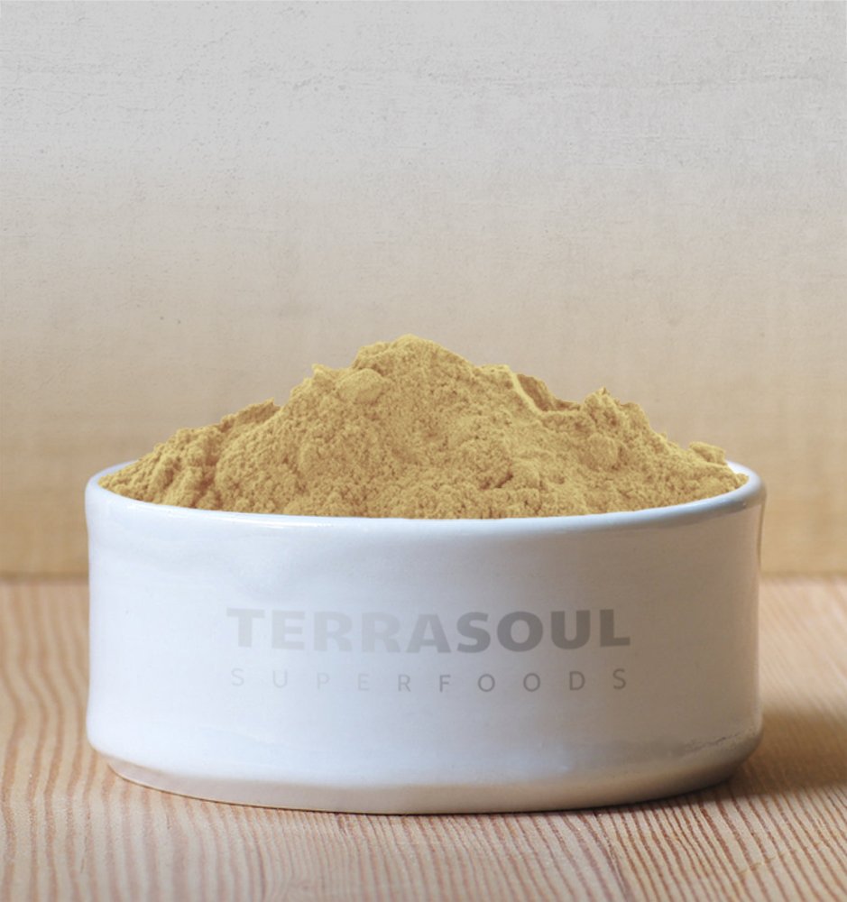 Organic Camu Camu Powder 7 Oz (2 Pack) by Terrasoul Superfoods - Raw Vitamin C for Immune Support