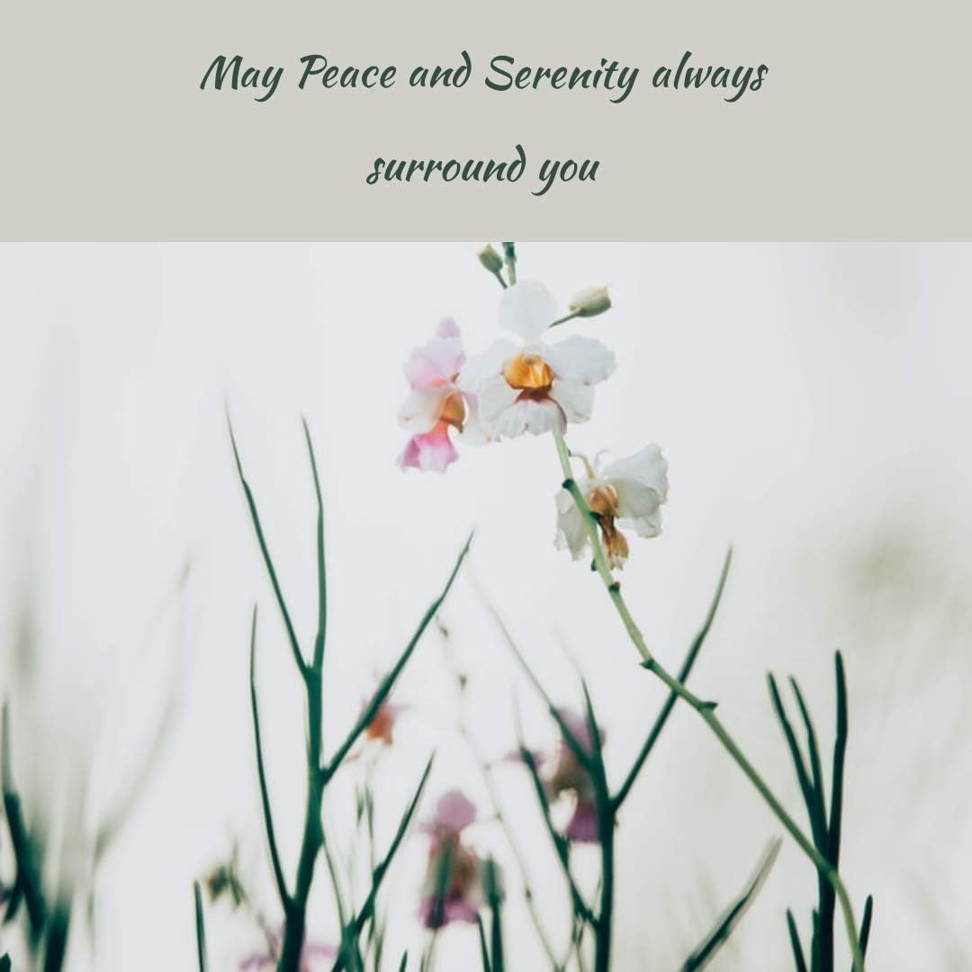 Organic Certified Ashwagandha Powder 50gm - 100% Natural Therapeutic Grade - Greenwood Essential