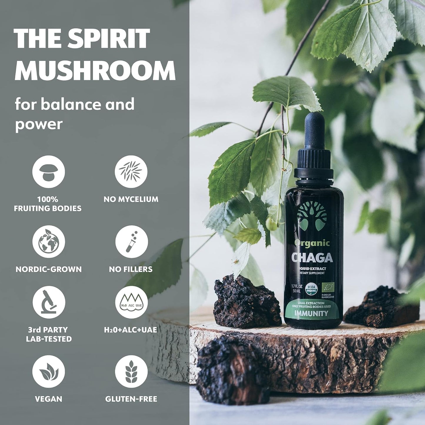 Organic Chaga Tincture - Fruiting Bodies - Antioxidant & Immune Support - 50 Servings