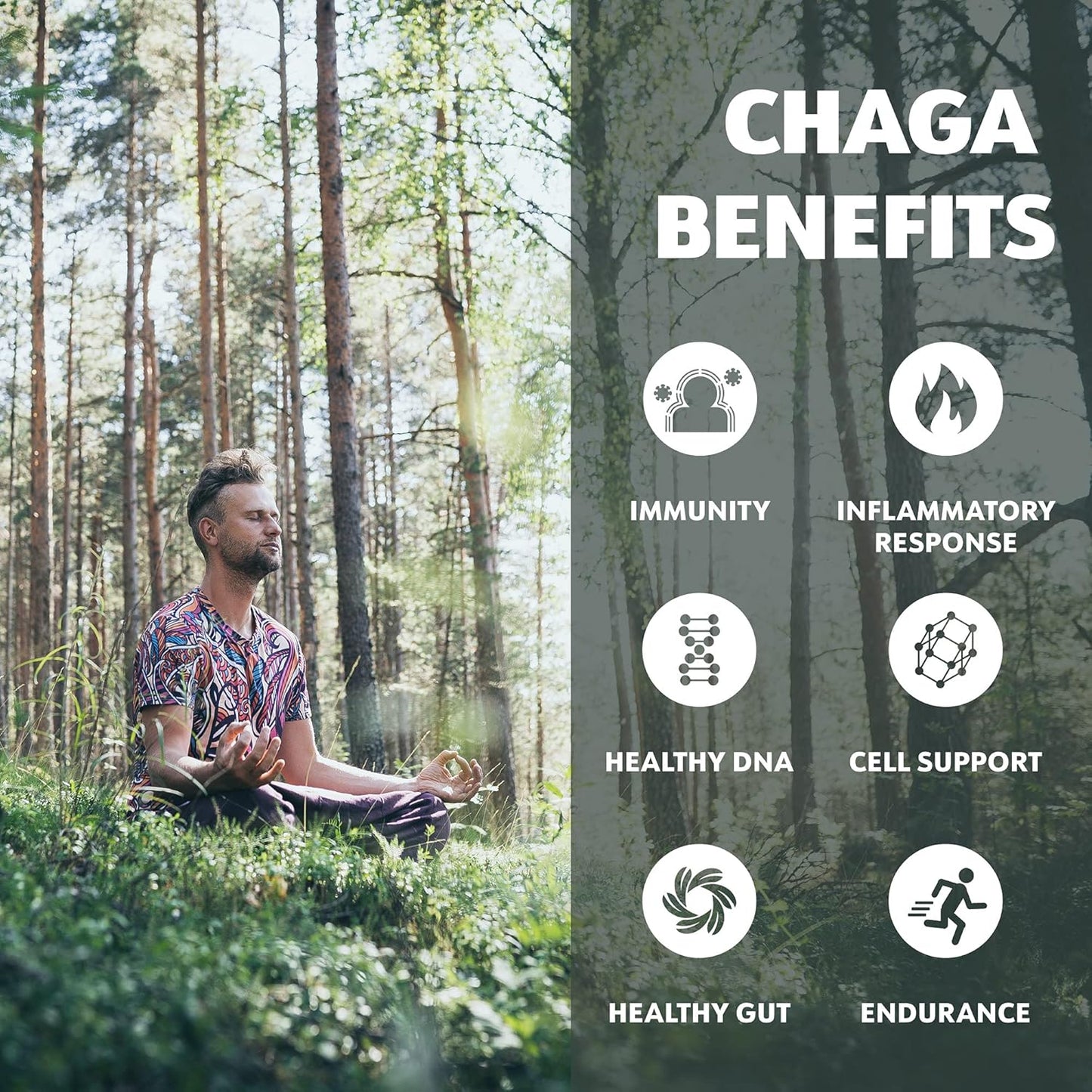 Organic Chaga Tincture - Fruiting Bodies - Antioxidant & Immune Support - 50 Servings