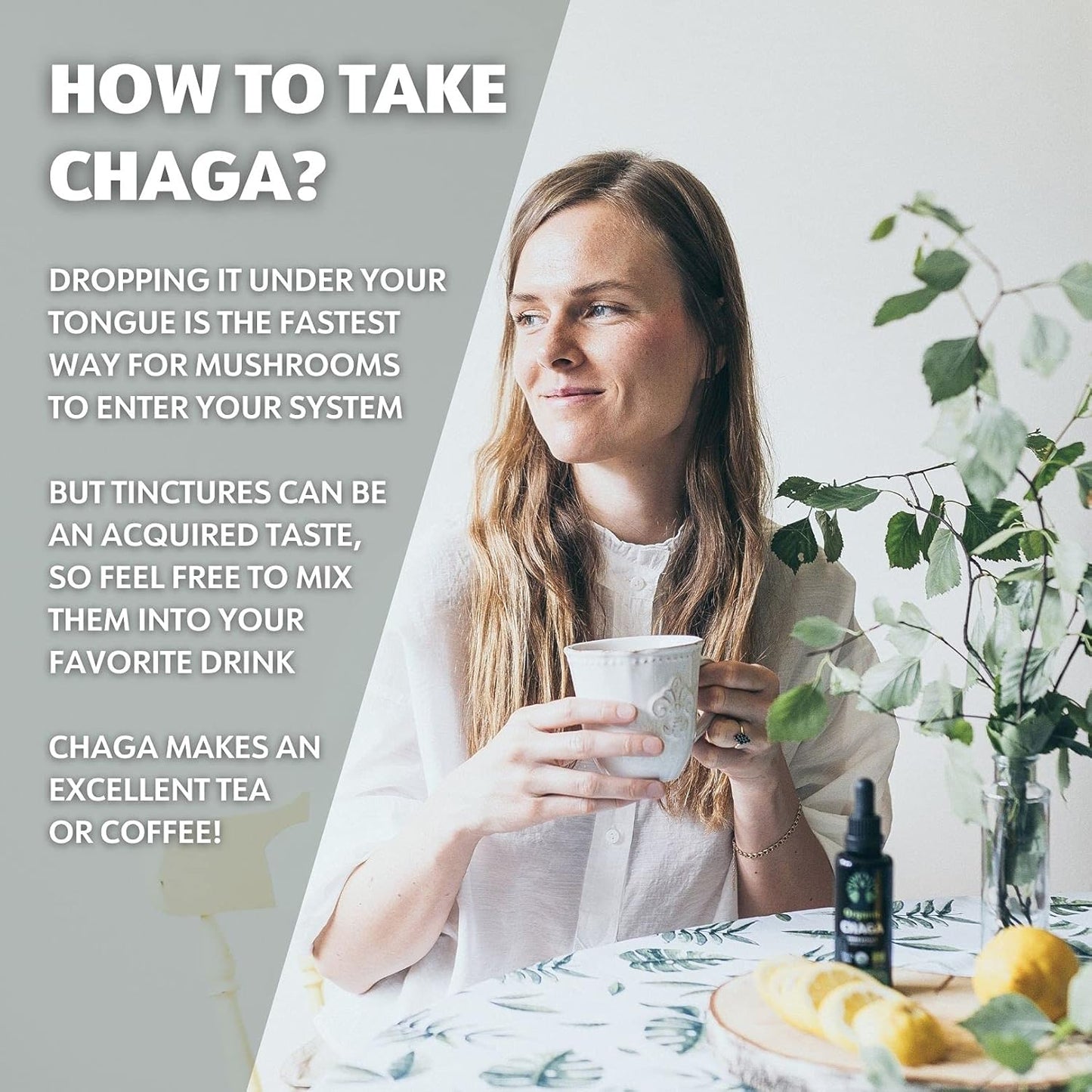 Organic Chaga Tincture - Fruiting Bodies - Antioxidant & Immune Support - 50 Servings