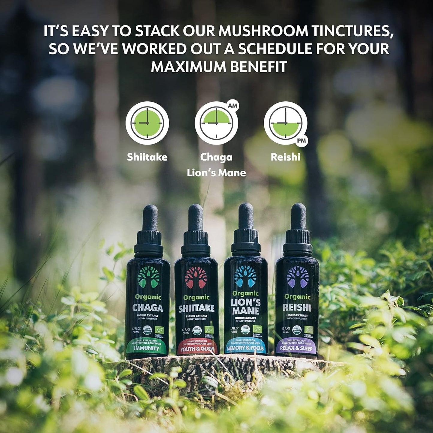 Organic Chaga Tincture - Fruiting Bodies - Antioxidant & Immune Support - 50 Servings