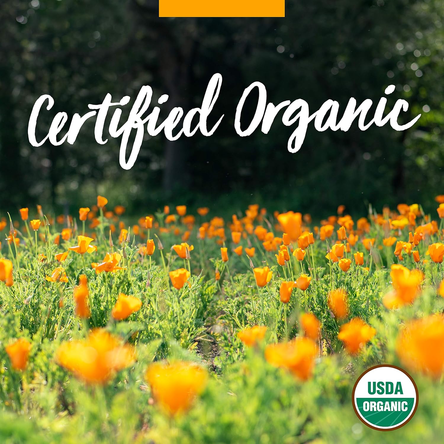 Organic Chamomile Liquid Extract for Calming Nervous System Support - 4 oz by Herb Pharm