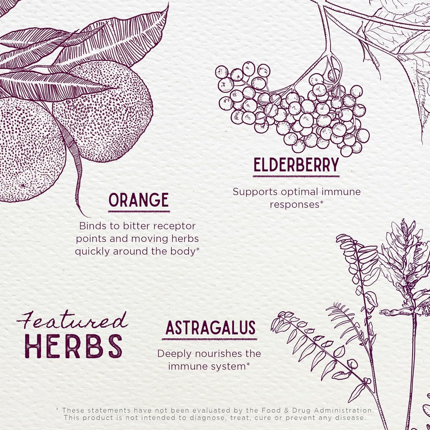 Organic Children's Elderberry Syrup with Black Elderberry, Astragalus, Orange Peel & Honey - Daily Immune Booster for Kids, No Added Sugar - 4oz - BoostGo Australia