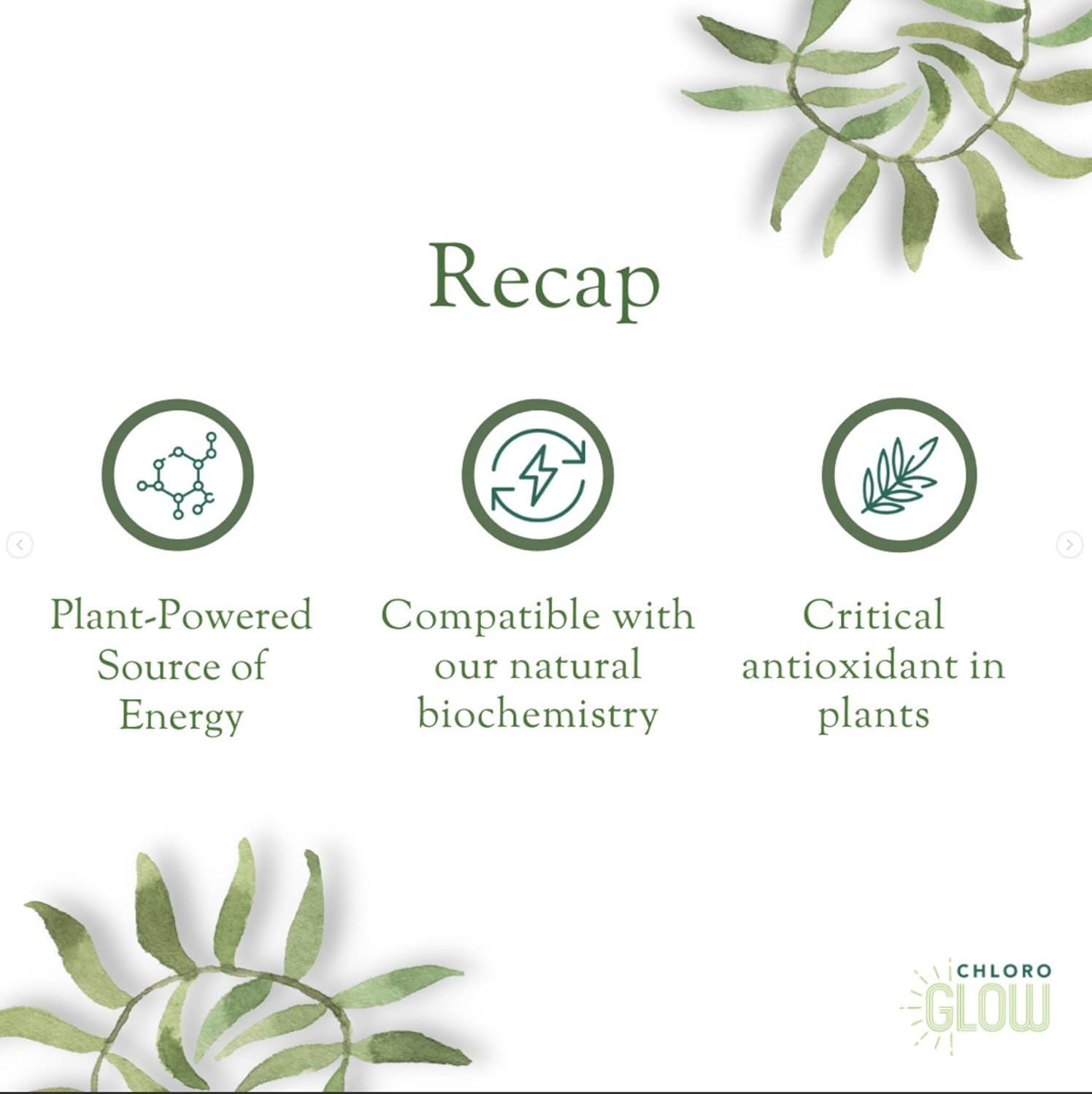 Organic Chloroglow Liquid Chlorophyll Shots - Boost Energy, Strengthen Immune System, Cleanse & Detoxify - Natural Plant Based Drink (12 pack)