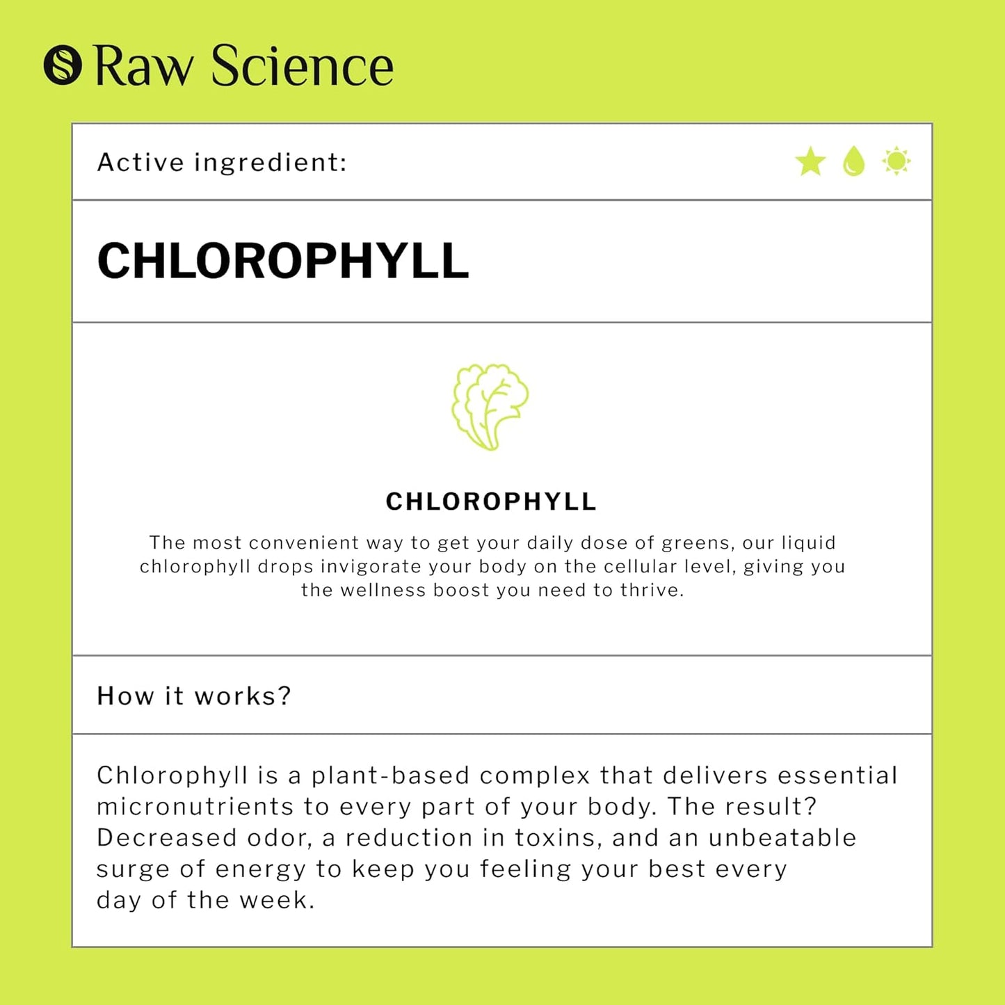 Organic Chlorophyll Liquid Drops - Natural Energy Boost & Deodorant Supplement - Fast Absorbing Vegan Formula for Oxygen Boost & Detox - Internal Deodorant & Body Cleanser