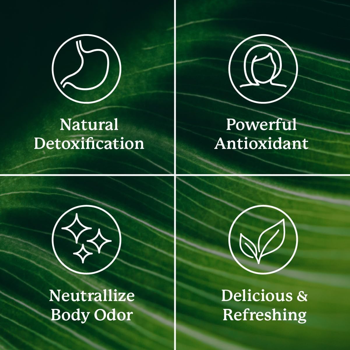 Organic Chlorophyll Stick Packs: Enhance Detox & Gut Health - Crisp Apple Flavor