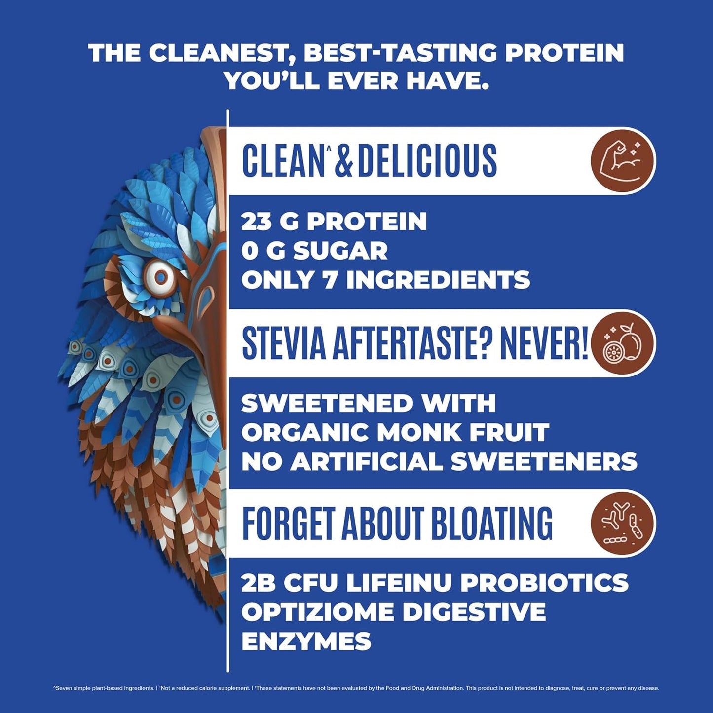 Organic Chocolate Falcon Vegan Protein Powder - Sugar Free, Non Whey, Probiotic, Low Carb - Plant Based Pea Protein for Keto Diet - 20 Servings, 1.32lb