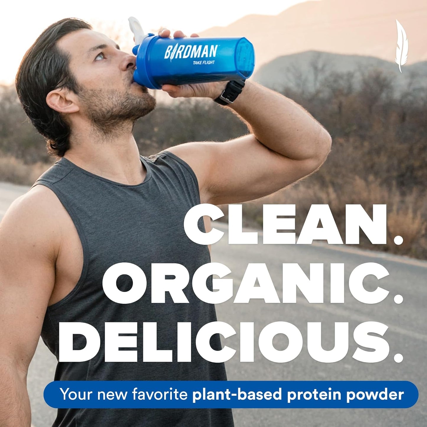 Organic Chocolate Falcon Vegan Protein Powder - Sugar Free, Non Whey, Probiotic, Low Carb - Plant Based Pea Protein for Keto Diet - 20 Servings, 1.32lb