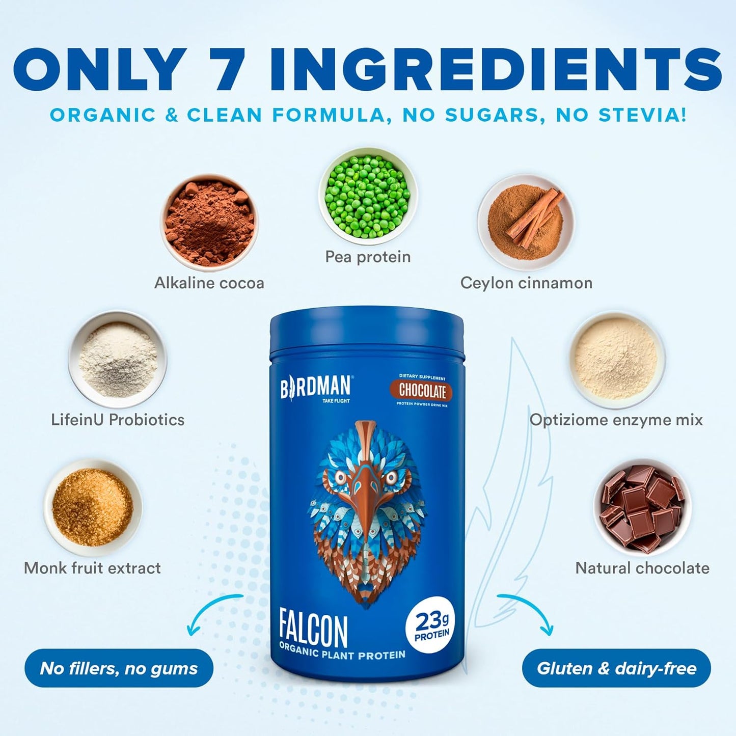 Organic Chocolate Falcon Vegan Protein Powder - Sugar Free, Non Whey, Probiotic, Low Carb - Plant Based Pea Protein for Keto Diet - 20 Servings, 1.32lb