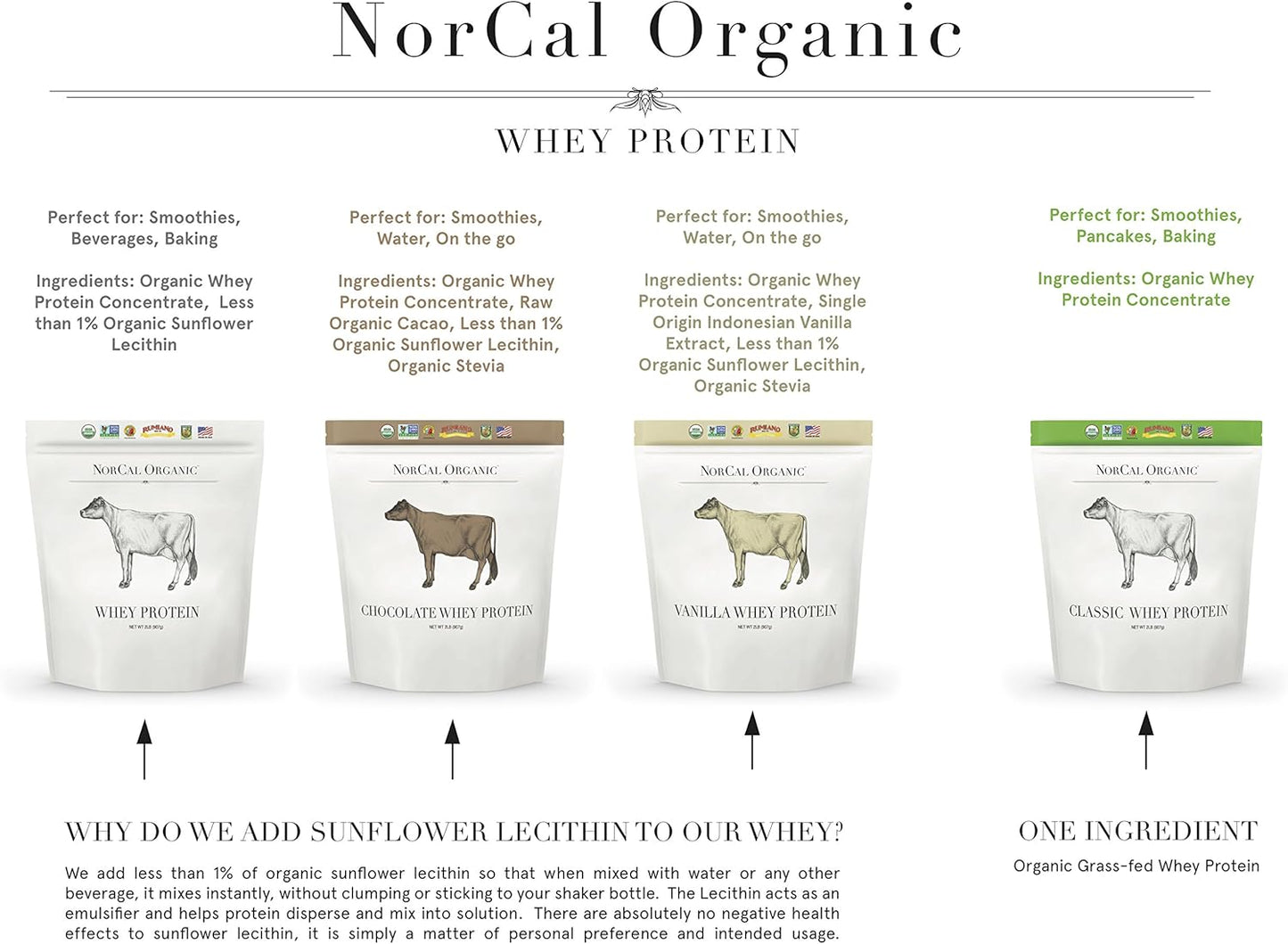 Organic Chocolate Whey Protein Powder | USA Grass-Fed, USDA Certified | Raw Cacao Flavor from California Farms | 32oz - 32 Servings
