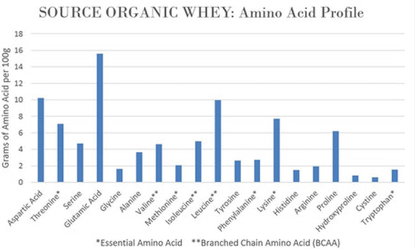 Organic Chocolate Whey Protein Powder | USA Grass-Fed, USDA Certified | Raw Cacao Flavor from California Farms | 32oz - 32 Servings