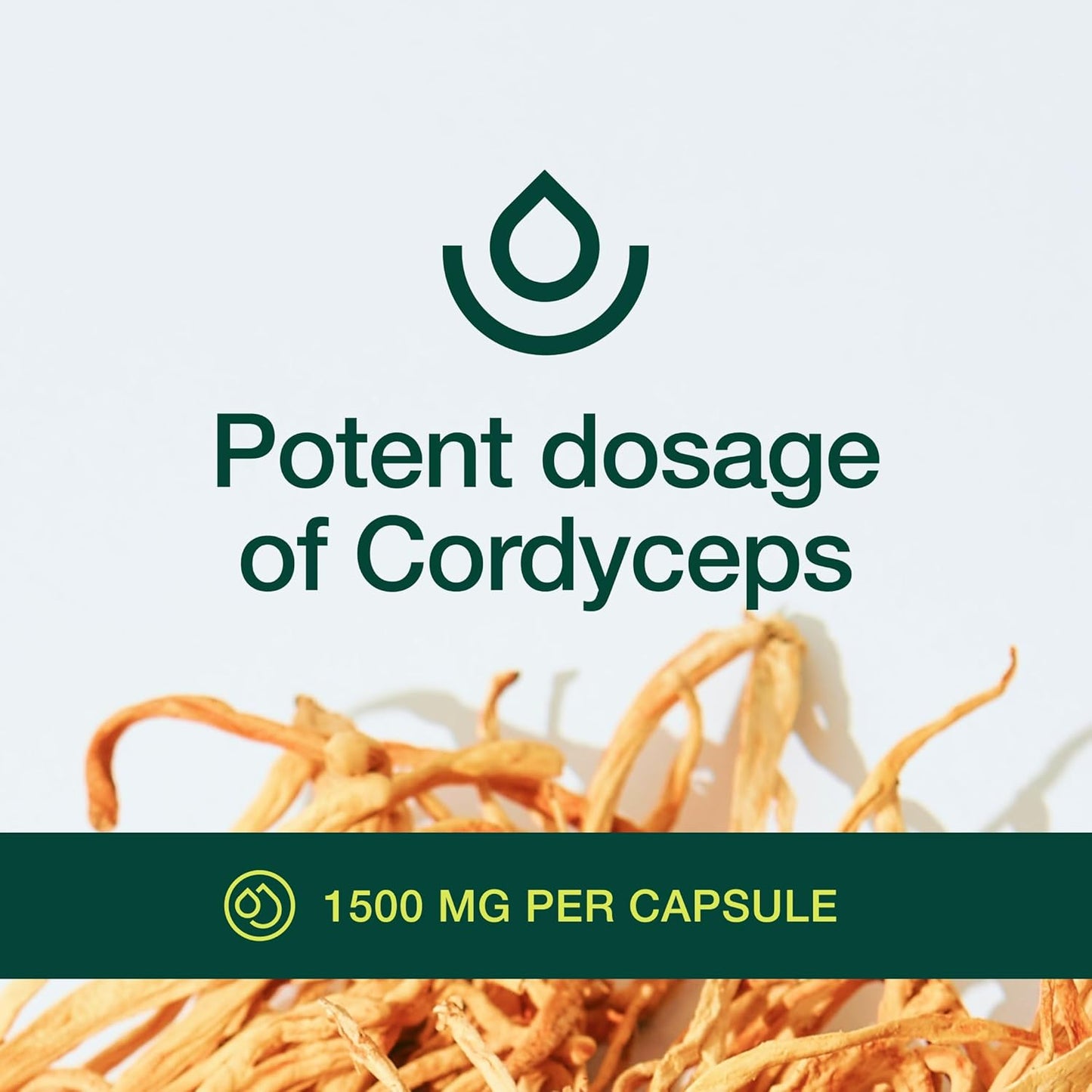 Organic Cordyceps Capsules - 1500mg Per Serving - Energy & Stamina Support - Rich in Alpha Glucan - Vegan, Non GMO - 90 Capsules - BoostGo Australia