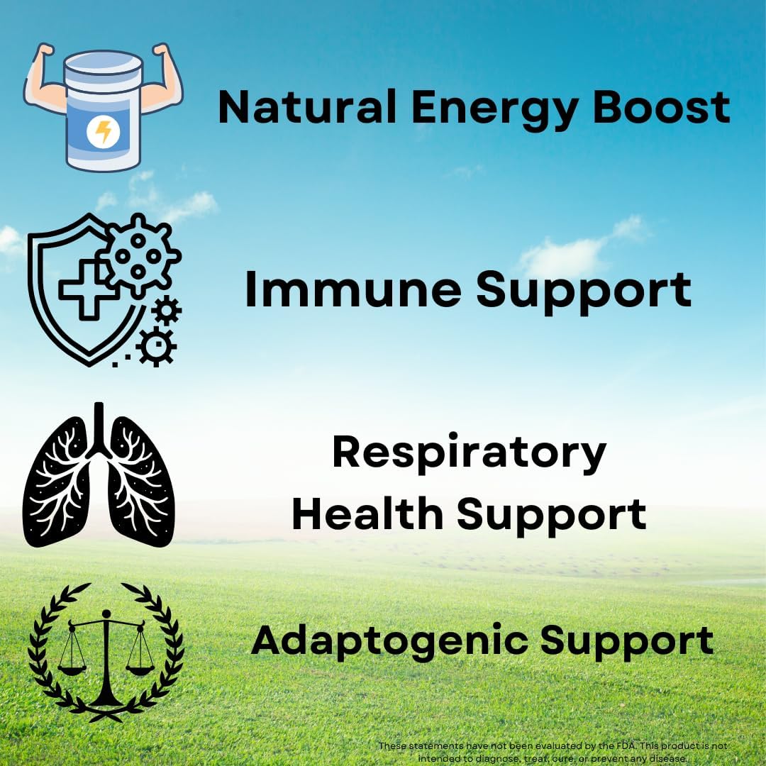 Organic Cordyceps Mushroom Capsules for Natural Energy & Stamina - Vegan Adaptogen Supplement for Immune Health - Pure & Non-GMO - 60 Capsules