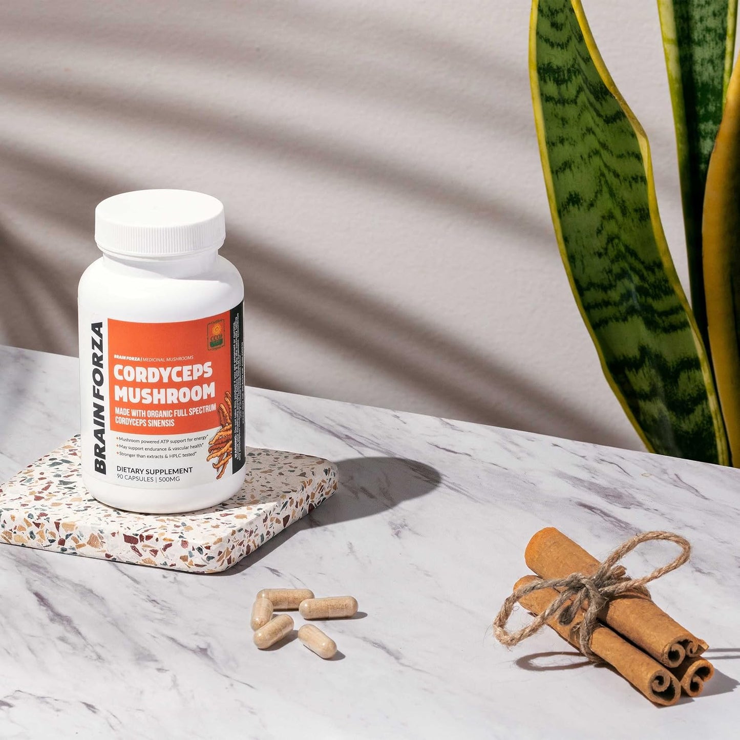 Organic Cordyceps Sinensis Mushroom Capsules - USA Grown, Non-GMO, Vegan, 90 ct