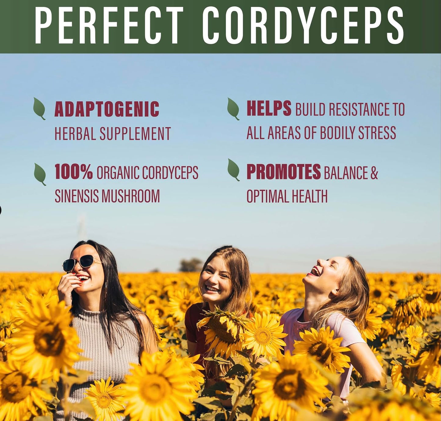 Organic Cordyceps Supplement - 90 Vegetable Capsules - Boost Energy, Endurance & Strength - Adaptogenic Herbal Formula