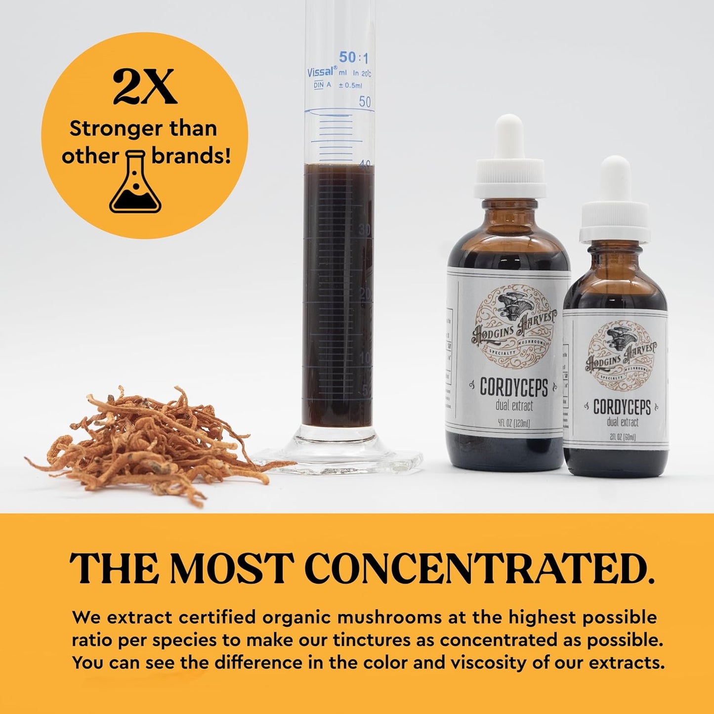 Organic Cordyceps Tincture Made in USA | Dual Extract | Extra-Concentrated (4 fl oz) by Hodgins Harvest