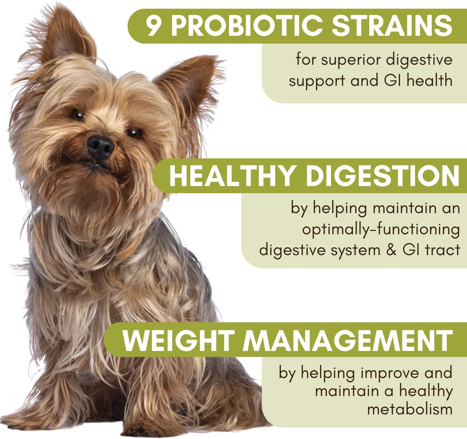 Organic Dog Probiotic Powder with Digestive Enzymes for Diarrhea, Gas, Constipation, Upset Stomach, Allergies