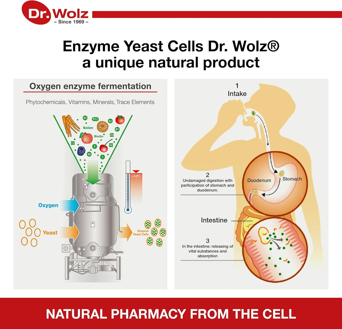 Organic Dr. Wolz Zell Oxygen + Royal Jelly 1000mg Superfood Supplement for Immune Support, Skin Health, Fatigue Relief - 14 Vials