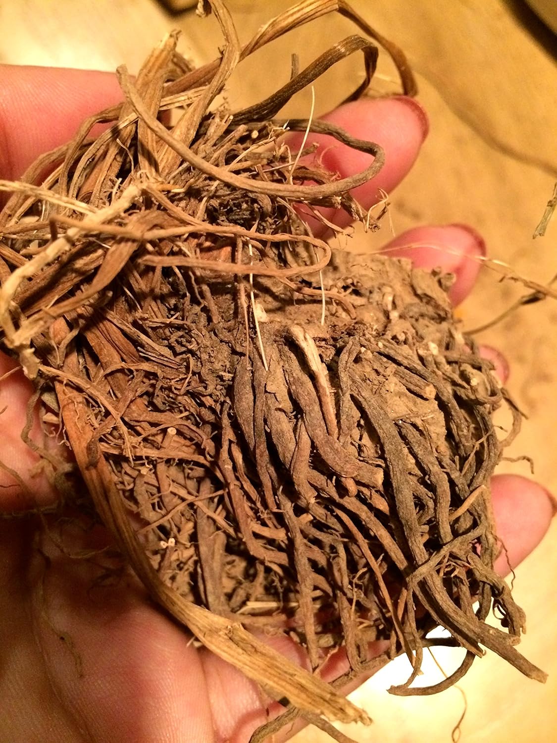 Organic Dried Valerian Root - 2 oz of Valeriana Officinalis Herb
