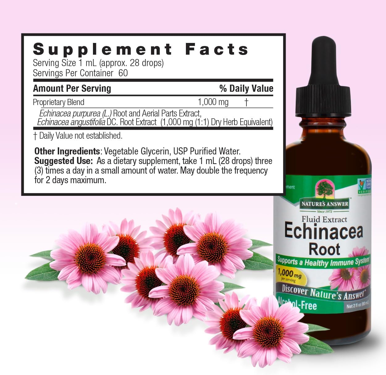 Organic Echinacea Extract for Immune Support | Vegan, Gluten-Free, Non-GMO | 2oz Bottle