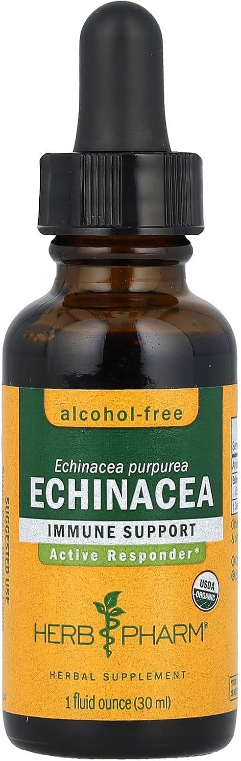 Organic Echinacea Glycerite by Herb Pharm - 1 Fluid Ounce Bottle