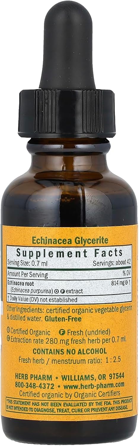 Organic Echinacea Glycerite by Herb Pharm - 1 Fluid Ounce Bottle