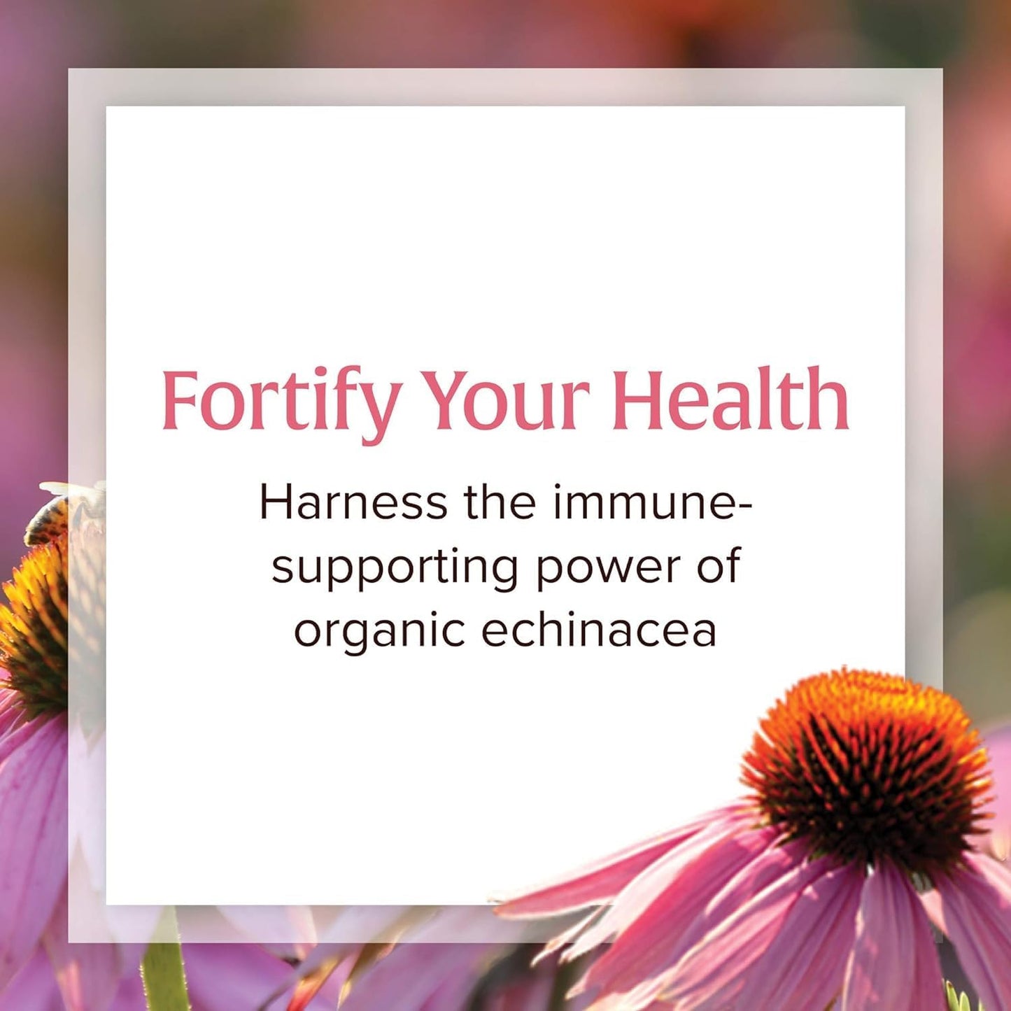 Organic Echinacea Supplement for Immune Support - Natural Factors Anti-V Liquid Formula, Non-GMO, 3.4 oz