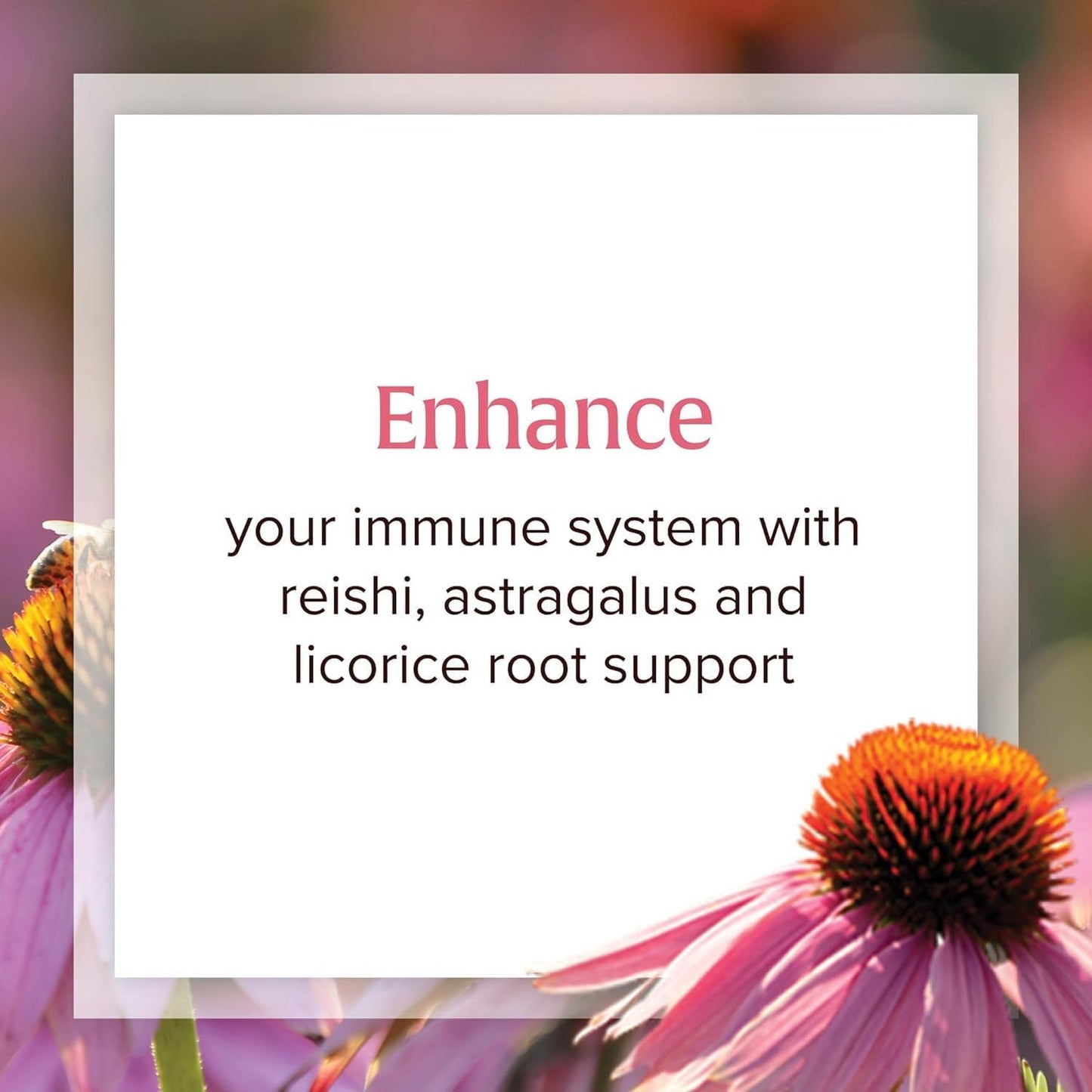 Organic Echinacea Supplement for Immune Support - Natural Factors Anti-V Liquid Formula, Non-GMO, 3.4 oz