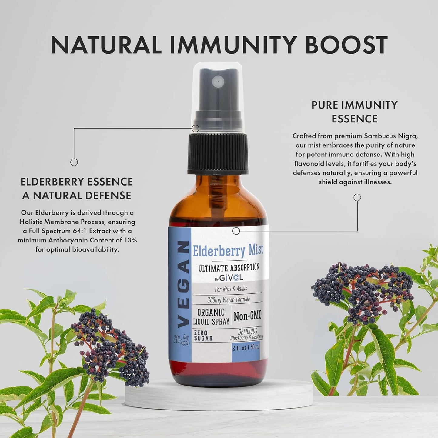 Organic Elderberry and Vitamin C Extra Strength Spray Mist for Immune Support - Non-GMO Daily Liquid Extract - Wellness Boost