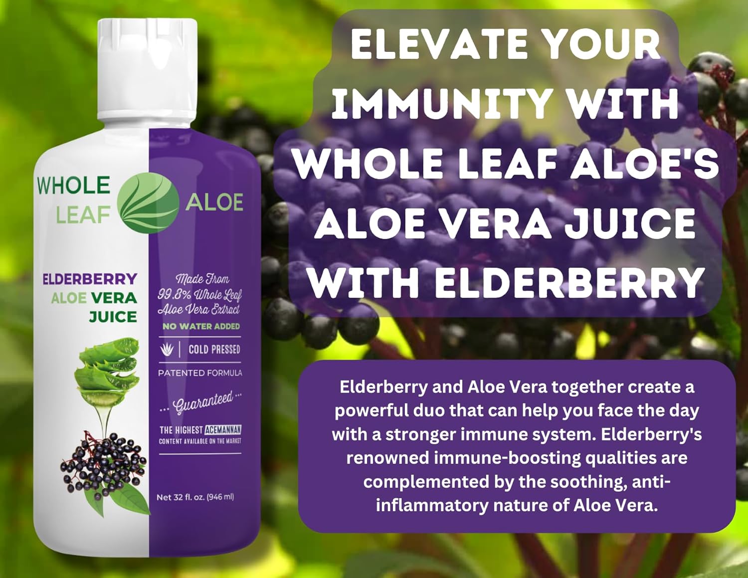 Organic Elderberry Extract Aloe Vera Juice - Patented Formula, High Acemannan, No Added Water - BoostGo Australia