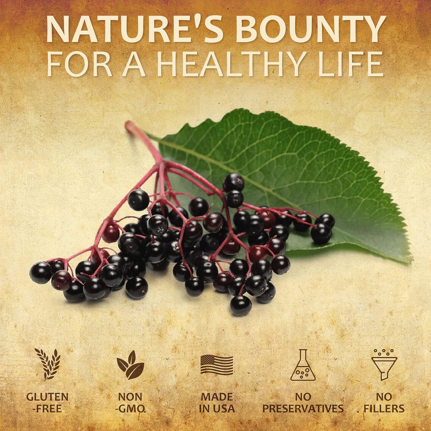 Organic Elderberry Extract Supplement for Digestive Health and Immune Support - Antioxidant, Vitamin C, Fiber-Rich Formula for Men & Women - 2oz