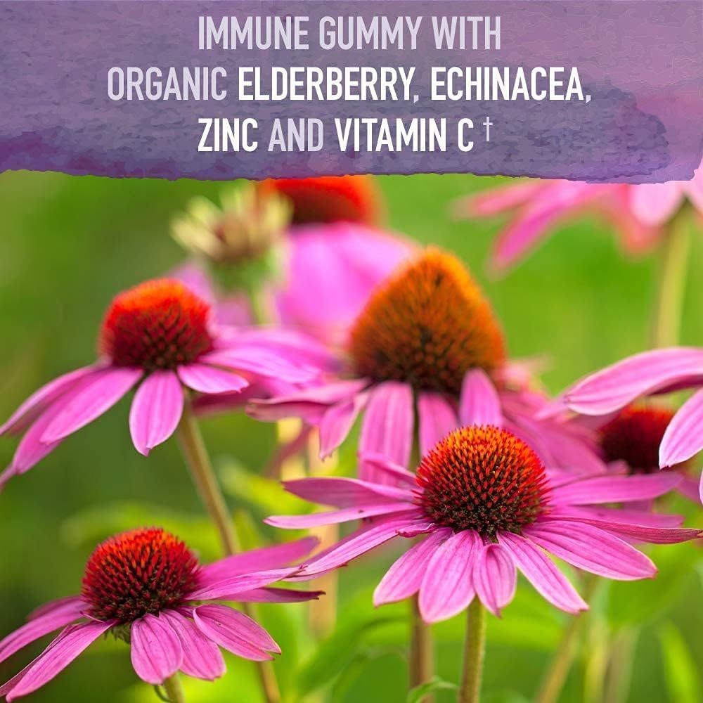 Organic Elderberry Gummies for Immune Support with Women's Probiotics - 50 Billion CFU, 30 Capsules, Adults & Kids