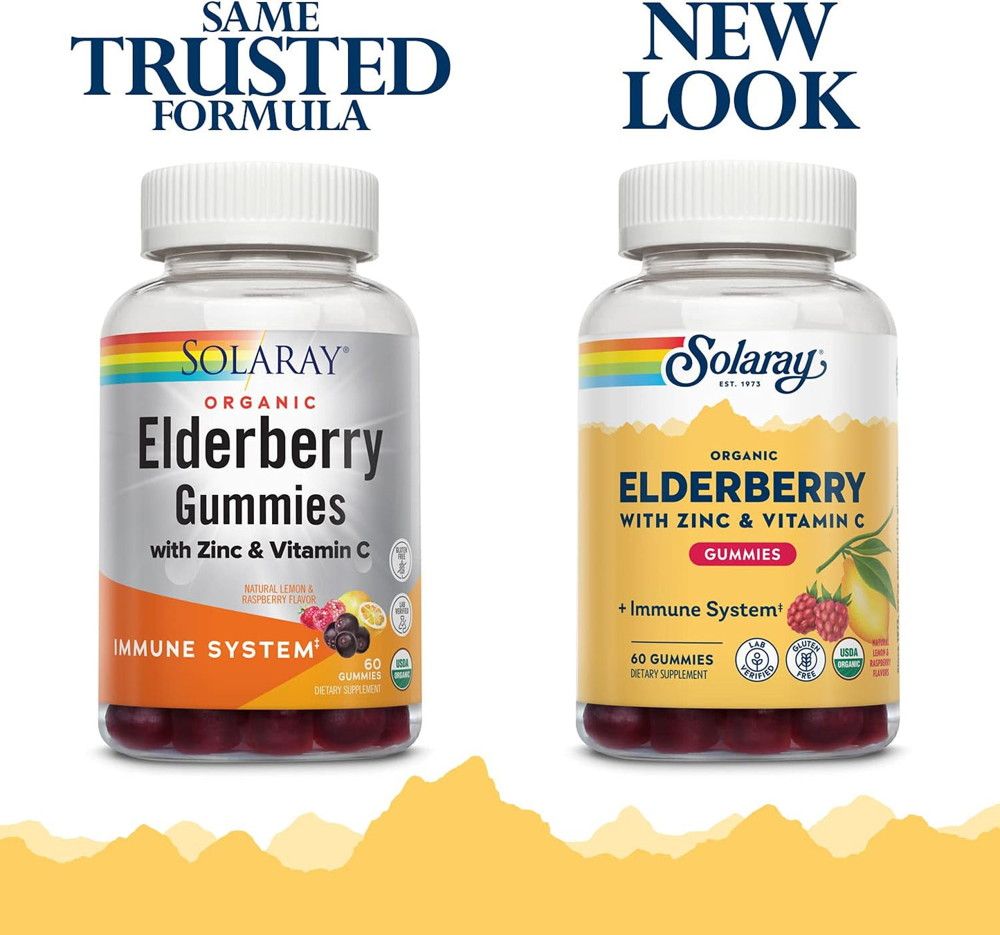 Organic Elderberry Gummies with Zinc & Vitamin C for Immune Support - 60 Ct, Gluten Free, 30 Servings