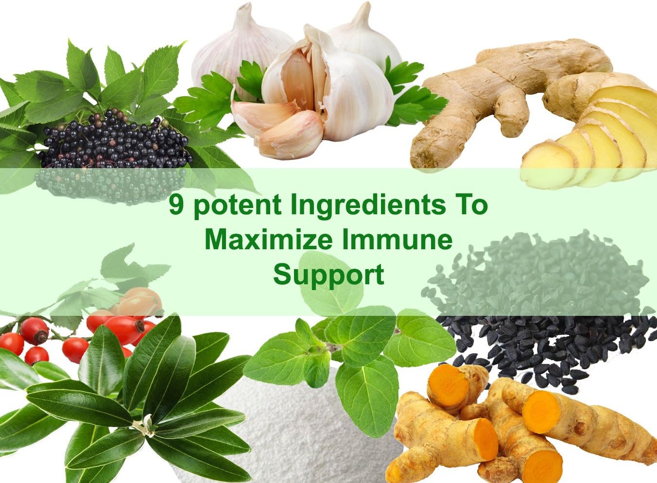 Organic Elderberry Immune Support Supplement - 800mg Capsules for Optimal Immune Health & Wellness