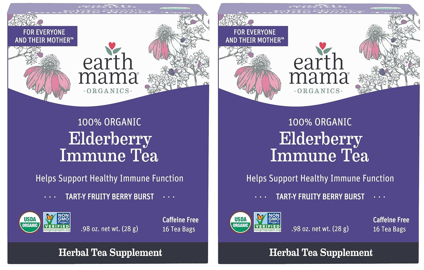 Organic Elderberry Immune Support Tea with Echinacea for Pregnancy, Breastfeeding & Kids | Ginger & Rooibos Decaf Tea, 16-Count x 2