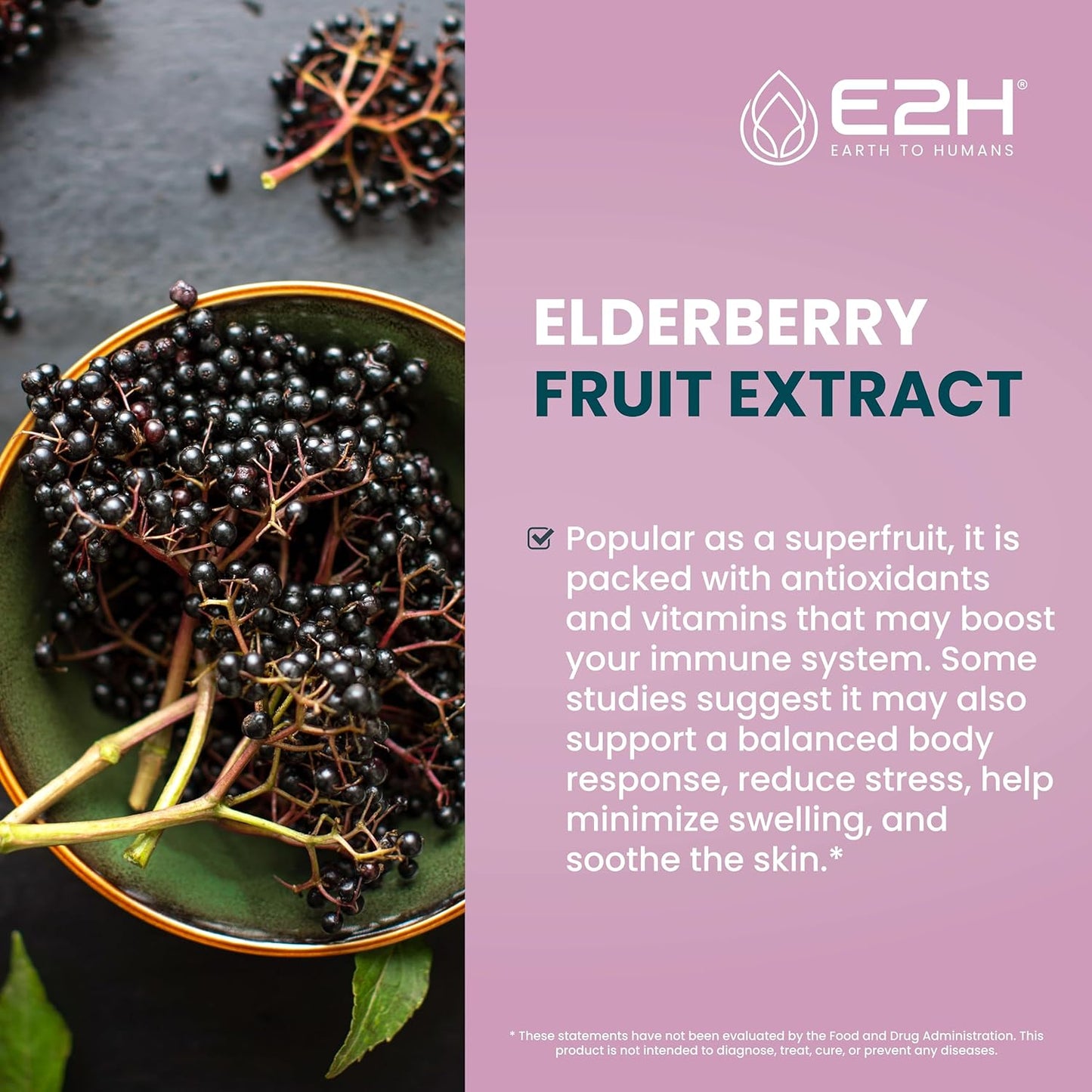 Organic Elderberry Syrup - Immune Support Supplement with Powerfull Antioxidants - Sambucus Elderberry Syrup for Kids & Adults - Non-GMO, Vegan - 2 Fl Oz