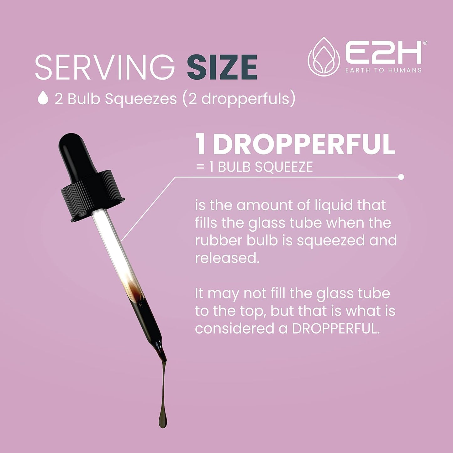 Organic Elderberry Syrup - Immune Support Supplement with Powerfull Antioxidants - Sambucus Elderberry Syrup for Kids & Adults - Non-GMO, Vegan - 2 Fl Oz
