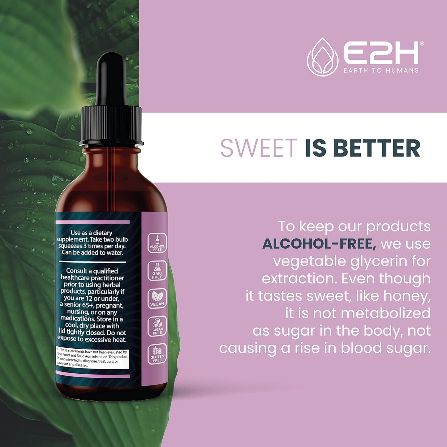 Organic Elderberry Syrup - Immune Support Supplement with Powerfull Antioxidants - Sambucus Elderberry Syrup for Kids & Adults - Non-GMO, Vegan - 2 Fl Oz