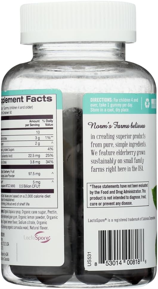 Organic Elderberry Vegan Gummies for Kids with Vitamin C - 120 Count, Pack of 2