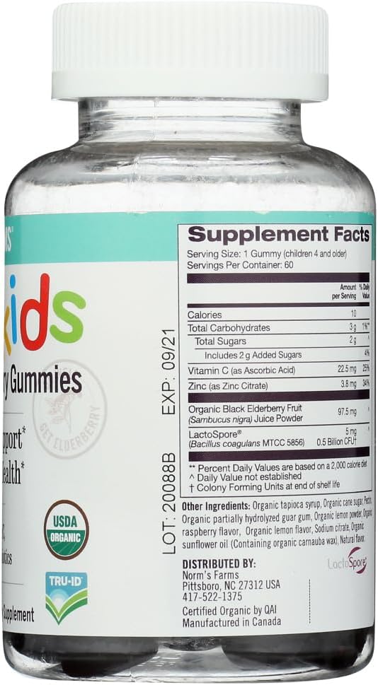 Organic Elderberry Vegan Gummies for Kids with Vitamin C - 120 Count, Pack of 2
