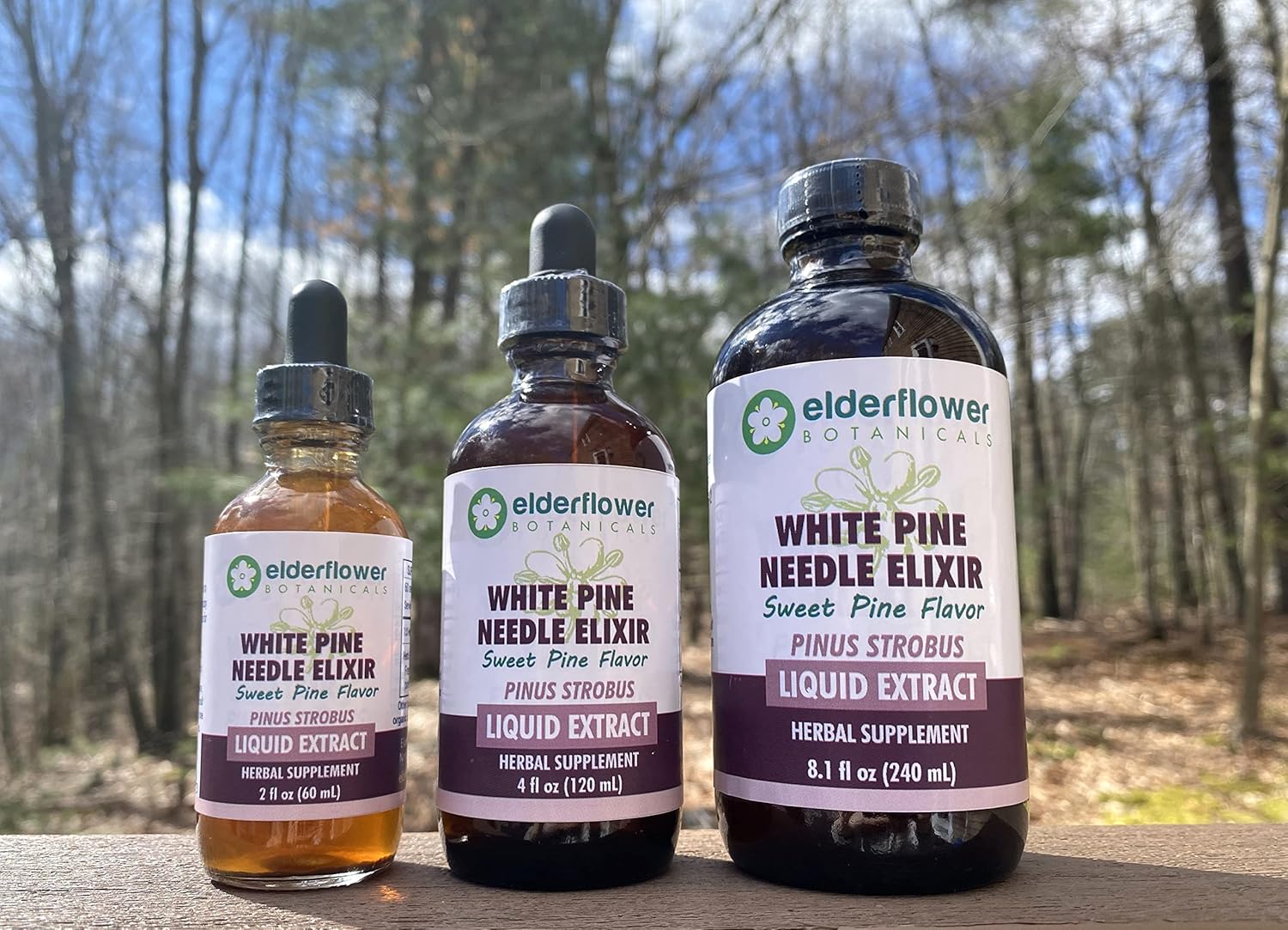 Organic Elderflower Botanicals Pine Needle Elixir Extract - 2 Fl Oz - Shikimic Acid Rich Sugar-Free Sweet Pine Flavor