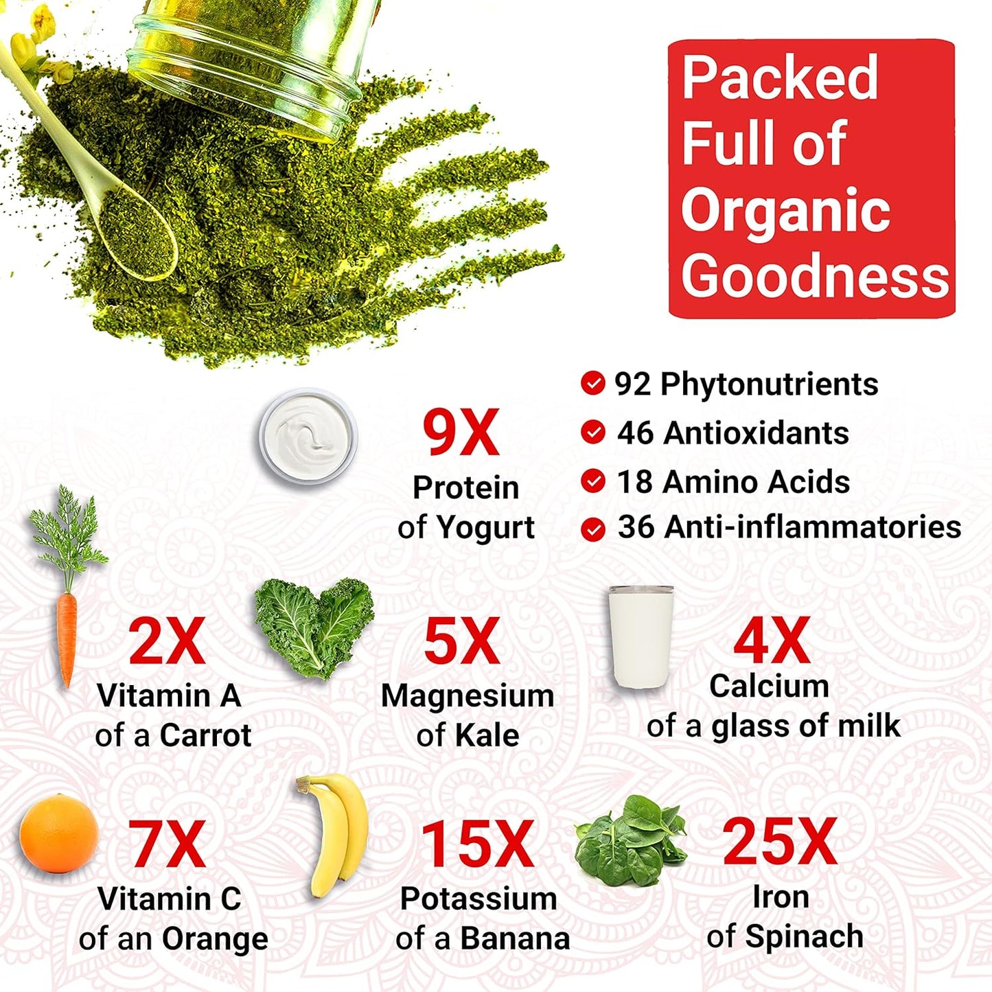 Organic Energize Bundle: Moringa & Holy Basil Capsules - USDA Certified | Multi-Award-Winning Formula