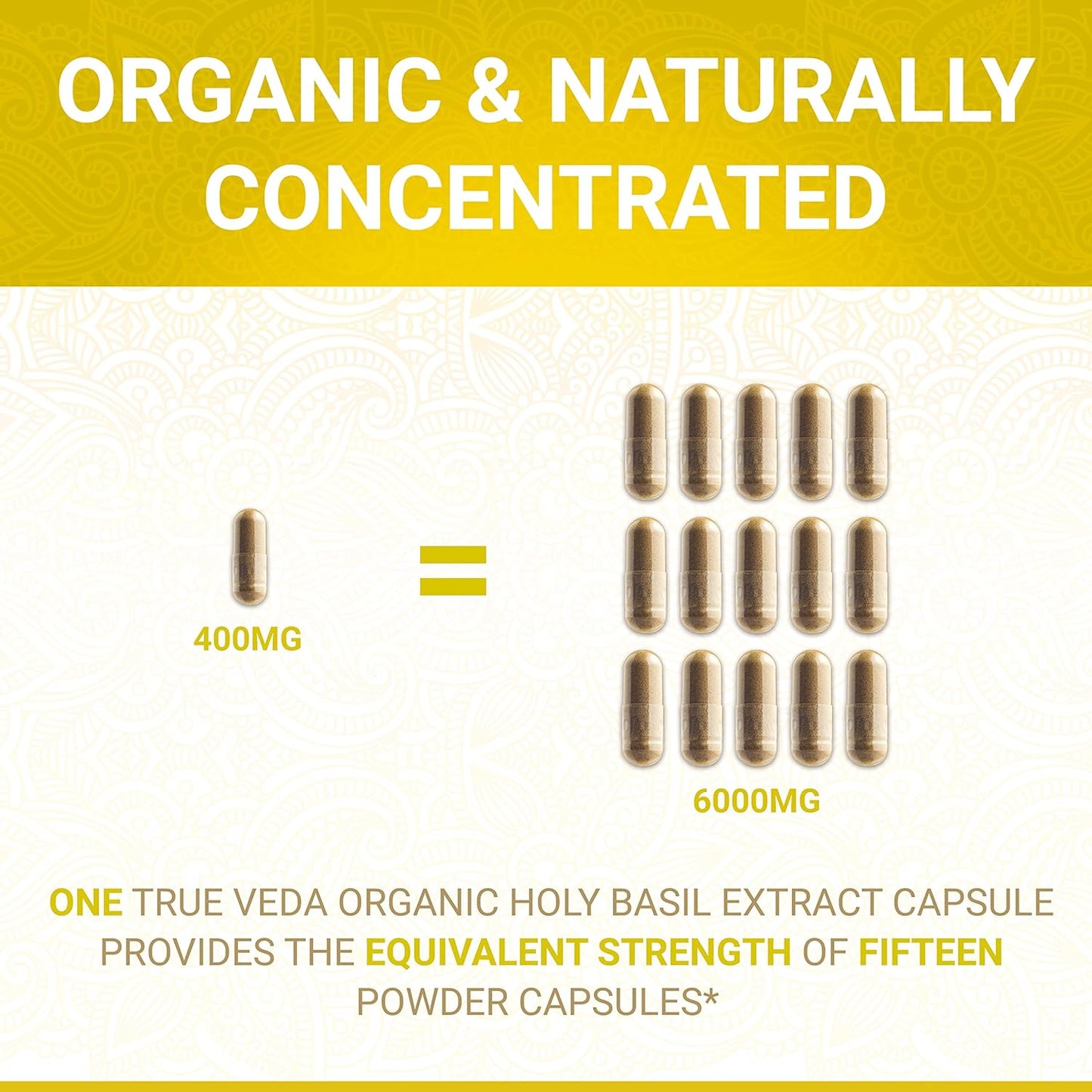 Organic Energize Bundle: Moringa & Holy Basil Capsules - USDA Certified | Multi-Award-Winning Formula